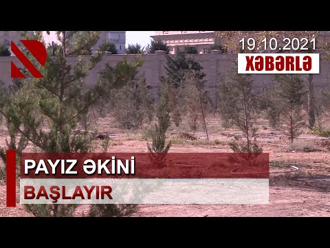 Payız əkini başlayır