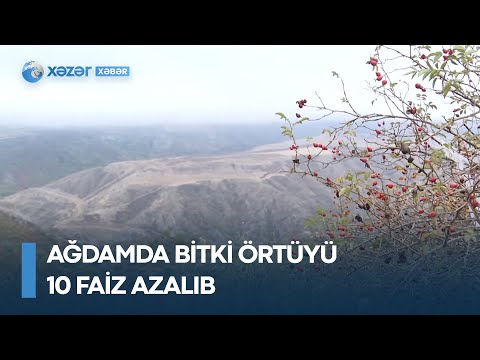 Ağdamda bitki örtüyü 10 faiz azalıb